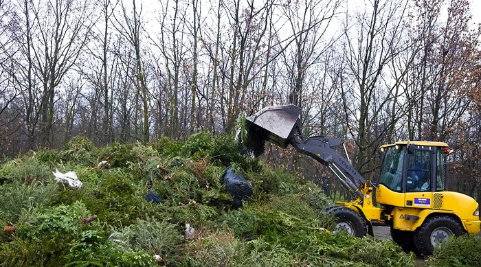 Brazii sunt reciclați și trasnformați în îngrășământ FOTO: Primăria Galați/Arhivă