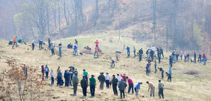 În timpul regimului comunist copacii au fost tăiaţi
