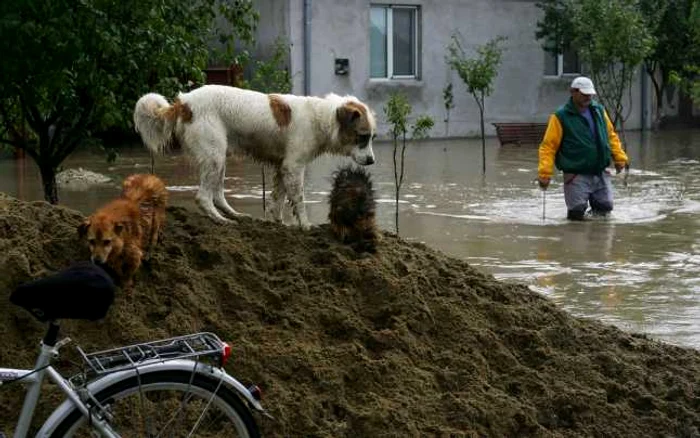 Evacuarea apelor la Gătaia