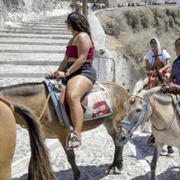 magarusi maltratati santorini foto 