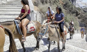 magarusi maltratati santorini foto