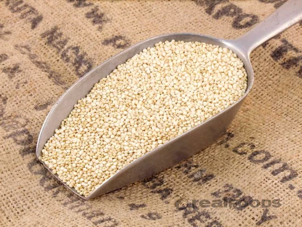 quinoa jpeg