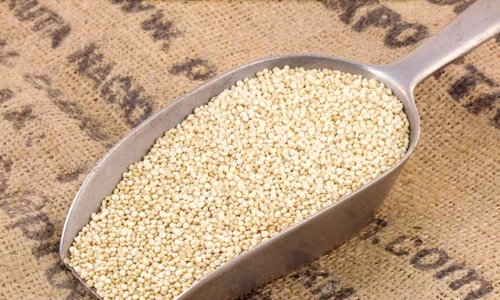 quinoa jpeg