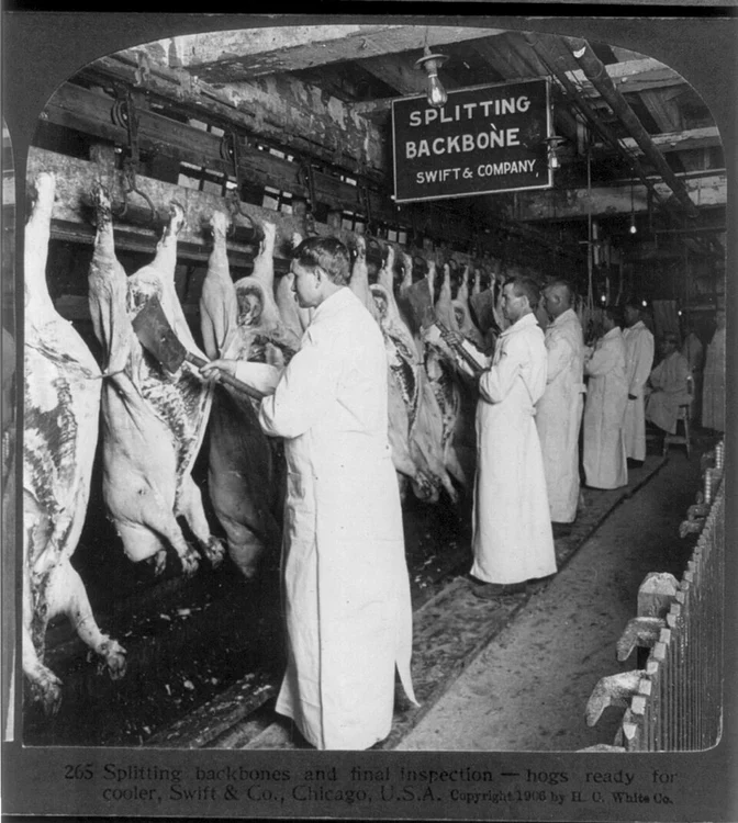 Inspectorii sanitari din Chicago la începutul anului 1906