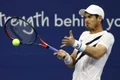 andy murray jpeg