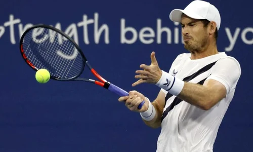 andy murray jpeg