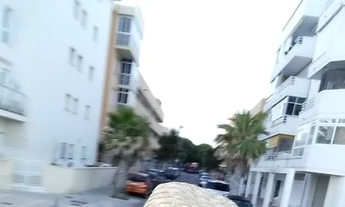 10502077 686448718092608 6325617971882052025 n jpeg