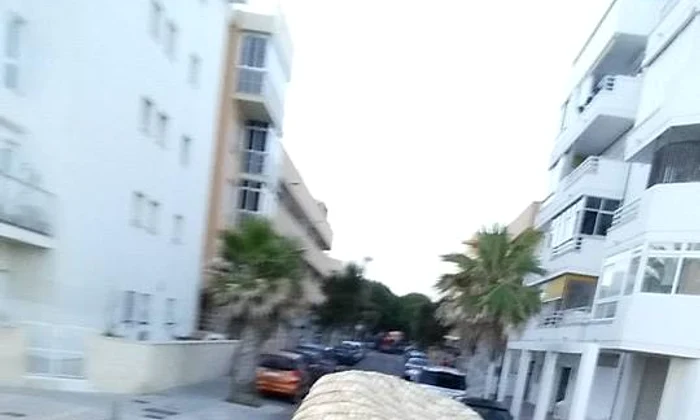 10502077 686448718092608 6325617971882052025 n jpeg