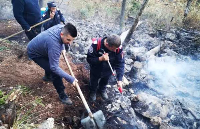 incendiu alba