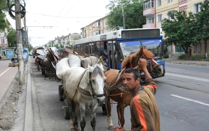 Convoi de căruţe pe bulevardul Tudor Vladimirescu (Foto: Florin Chirica)