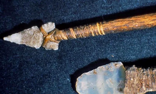 O suliţă de 10 000 de ani, descoperită în Parcul Naţional Yellowstone jpeg