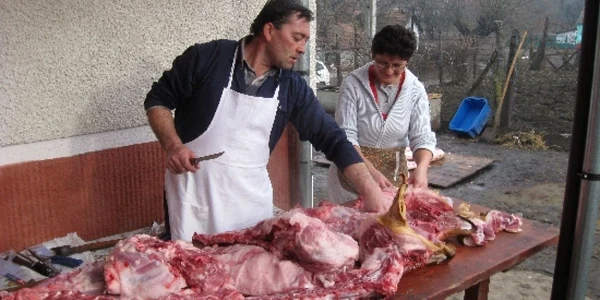 Carnea porcului sacrificat trebuie trimisă la laborator pentru analize