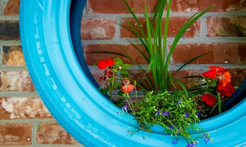 1 75980 original jpg jpeg