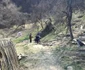politisti voluntari