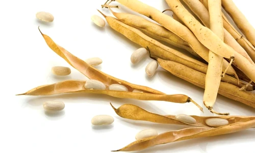 1 48981 original jpg jpeg