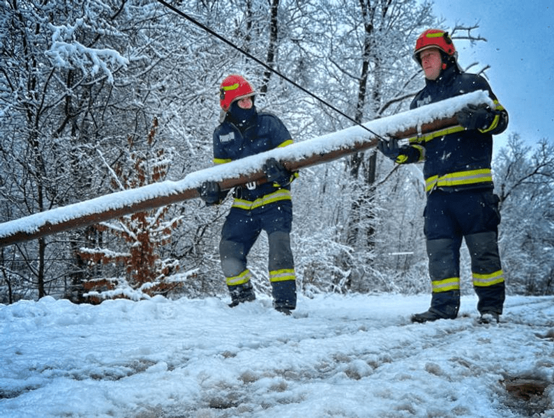 Zăpada a creat probleme în Dâmbovița. Copaci și stâlpi de telefonie, căzuți pe șosea
