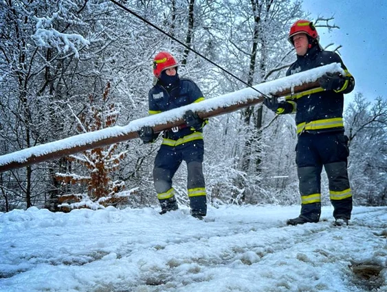 Pompierii au intervenit pentru degajarea unor stâlpi de telefonie căzuți. FOTO ISU DB