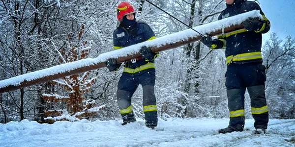 Pompierii dâmbovițeni au intervenit pentru degajarea unor stâlpi de telefonie. FOTO ISU Db
