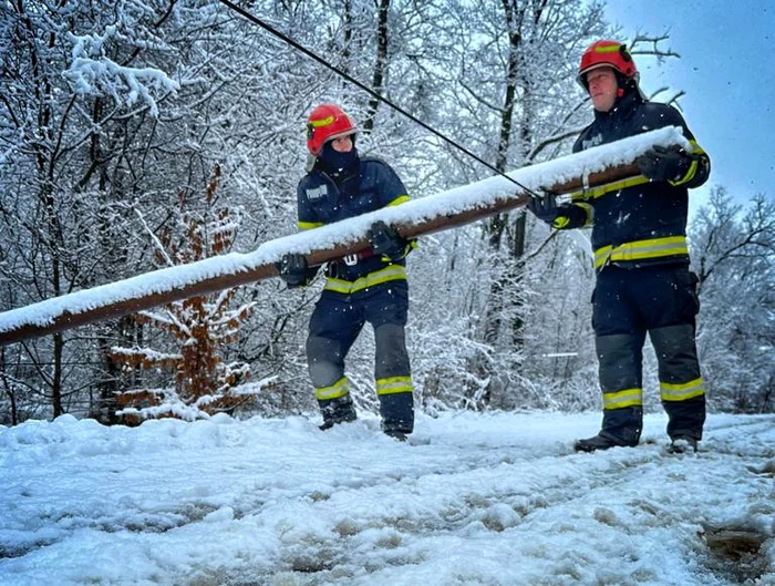 Pompierii au intervenit pentru degajarea unor stâlpi de telefonie căzuți. FOTO ISU DB