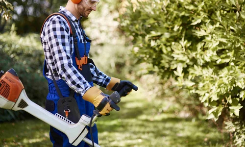 Vara aceasta îți dorești un aspect inedit în grădina ta Iată 5 motive pentru care ai nevoie de o motocositoare! jpg