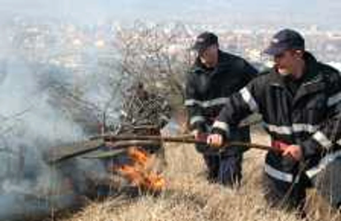 Incendii de vegetatie uscata in mai multe localitati din judetul Valcea
