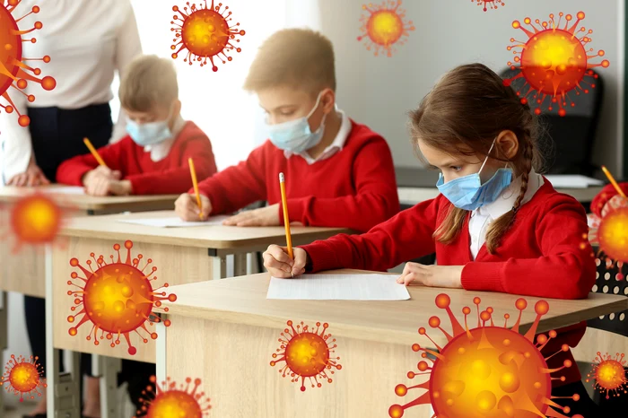 Elevii ar putea face cursuri online