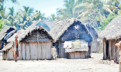 Aşa arată locuinţele din satele  ţării situate în sud estul Africii jpeg