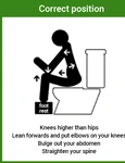 Correct toilet Position Diagram jpg