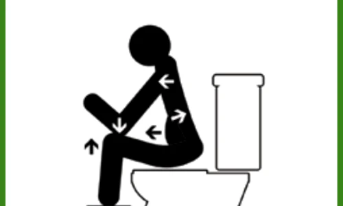 Correct toilet Position Diagram jpg