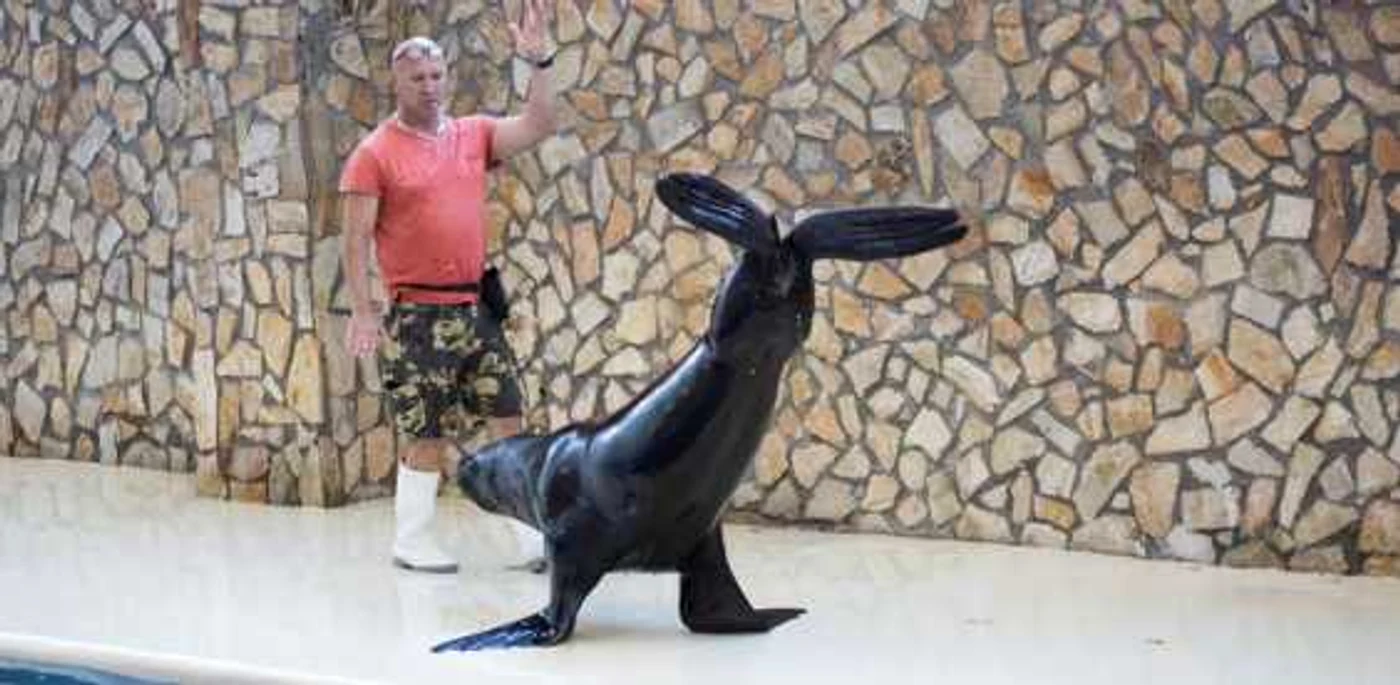 FOTO Complexul Muzeal de Ştiinţe ale Naturii Constanţa