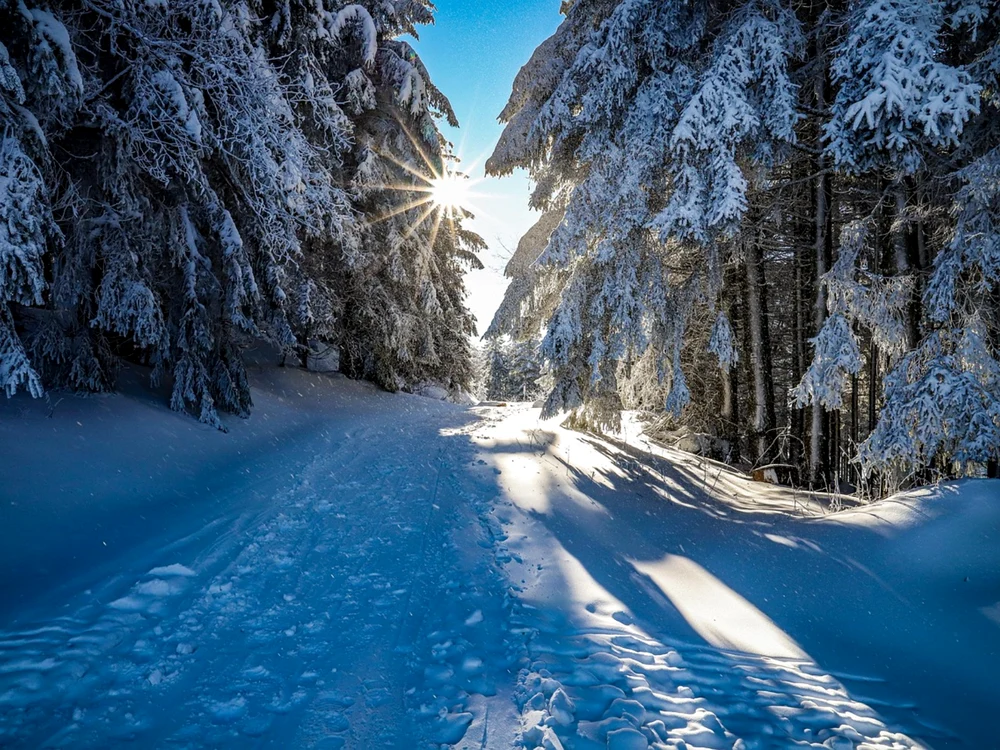 Iarna / Foto: Pixabay