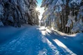 iarna cu soare foto pixabay png