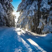 iarna cu soare foto pixabay png