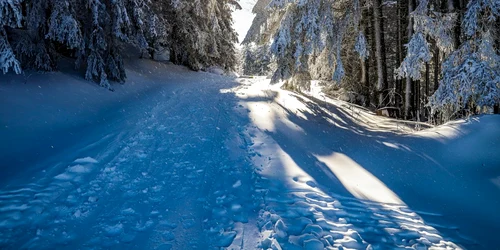 iarna cu soare foto pixabay png