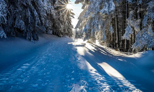 iarna cu soare foto pixabay png