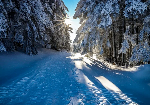 iarna cu soare foto pixabay png