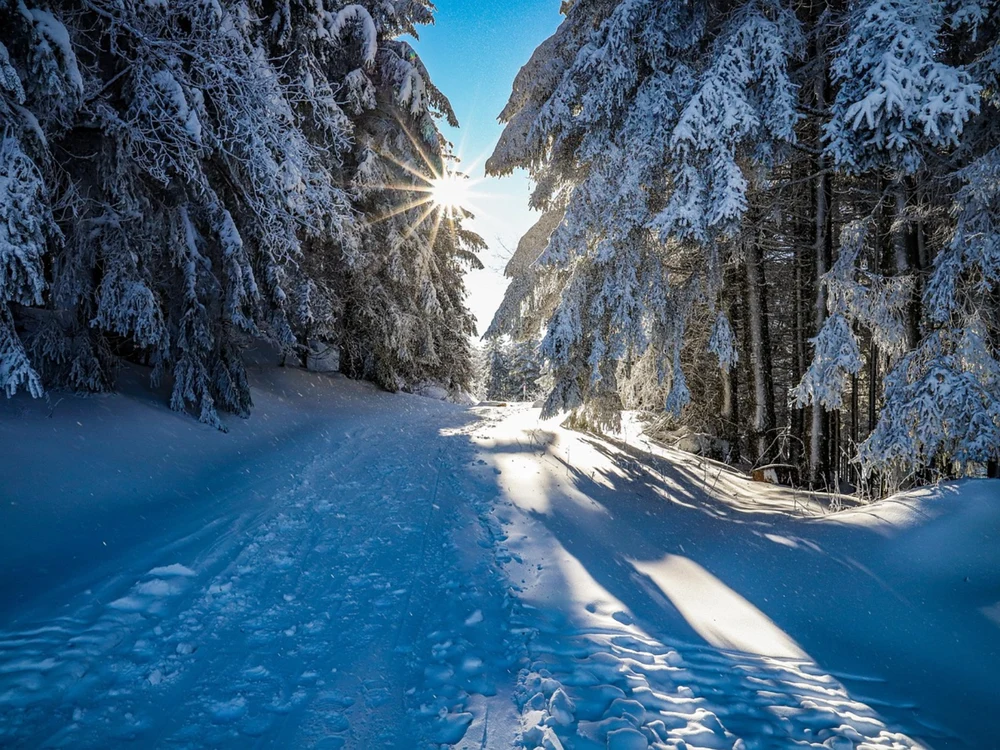 Ultima luna de iarnă va fi una a contrastelor: un val de ger scade temperaturile la -10 grade în est. Unde ne așteptăm la vreme primăvăratică