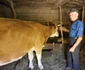 Satele comunei Blăjeni, din Apuseni  Foto Daniel Guță ADEVĂRUL (105) JPG