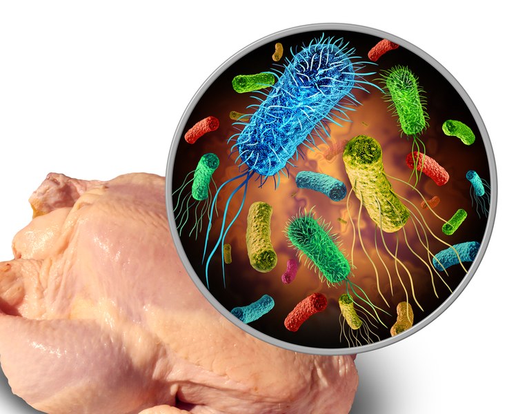 Bacteria care îmbolnăvește milioane de oameni în fiecare an. La ce simptome trebuie să fiți atenți! 