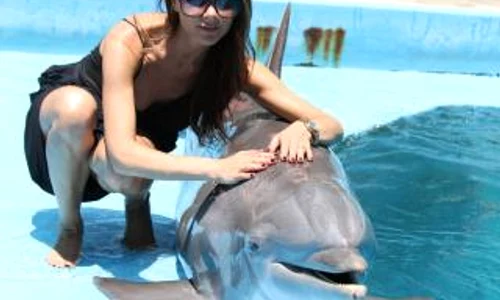 awuxaamcqaakfks jpg large jpeg