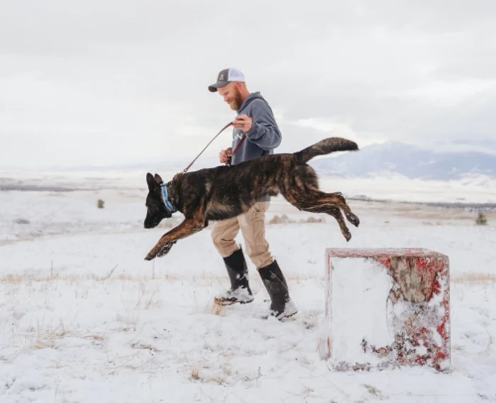 Dresaj / Foto: Facebook