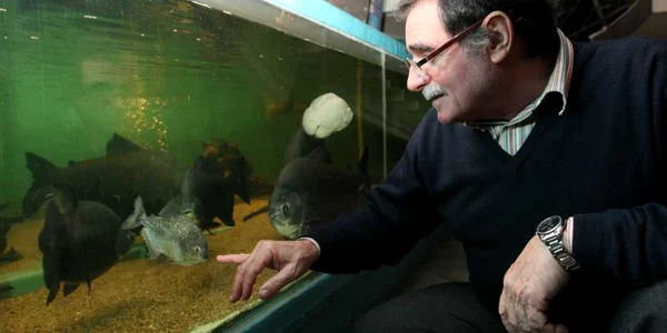 Muzeografii ne arată un exemplar de piranha, Foto: Bogdan Dimofte