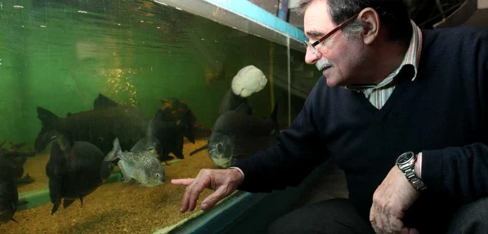 Muzeografii ne arată un exemplar de piranha, Foto: Bogdan Dimofte