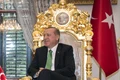 erdogan jpeg