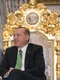 erdogan jpeg