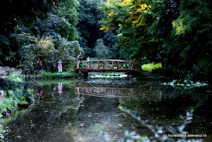 Parcul Dendrologic a adus Simeria în topul oraşelor verzi. FOTO: Daniel Guţă. ADEVĂRUL.