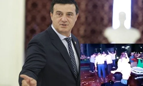 niculae badalau sa vina diaspora ne pisam pe ea 303364 jpeg