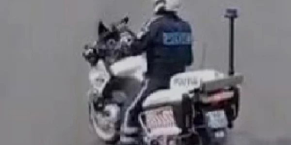 poliţist