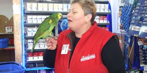  Papagalul Lilo îşi petrece majoritatea timpului cu Iudith