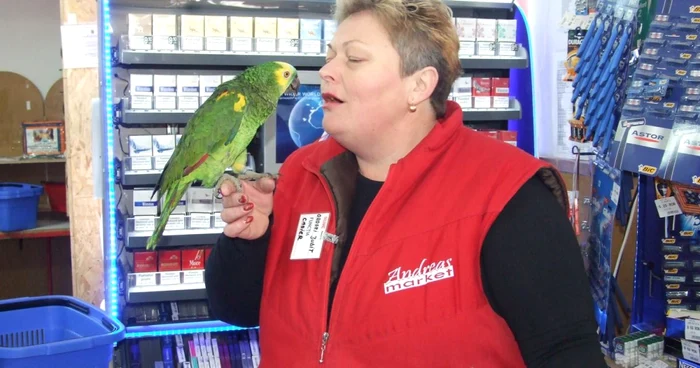  Papagalul Lilo îşi petrece majoritatea timpului cu Iudith